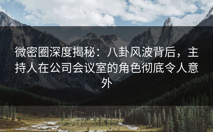 微密圈深度揭秘：八卦风波背后，主持人在公司会议室的角色彻底令人意外